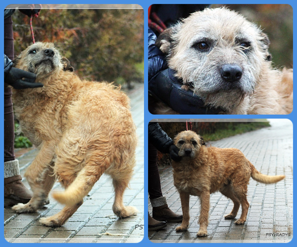 BeFunky-collage (16)