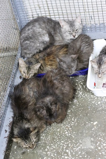 B6A10A66-B971-4F8D-AF43-30F04A23E90B