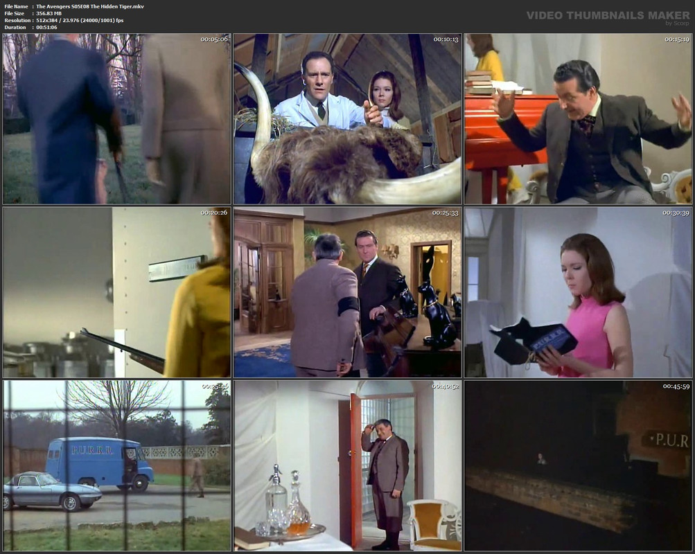 The Avengers S05E08 The Hidden Tiger.mkv