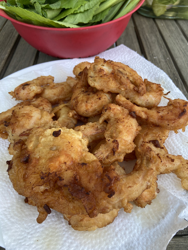 DD158F61-489E-425B-AF9D-BFE455A019C5