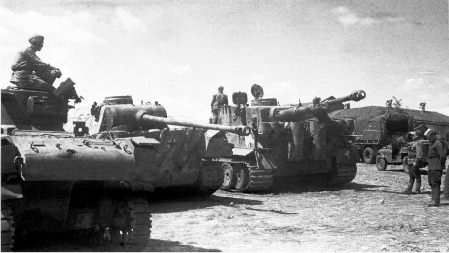 нем тигр КД43 02