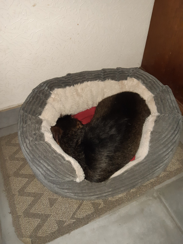 [Image: 20240216-165413.jpg]