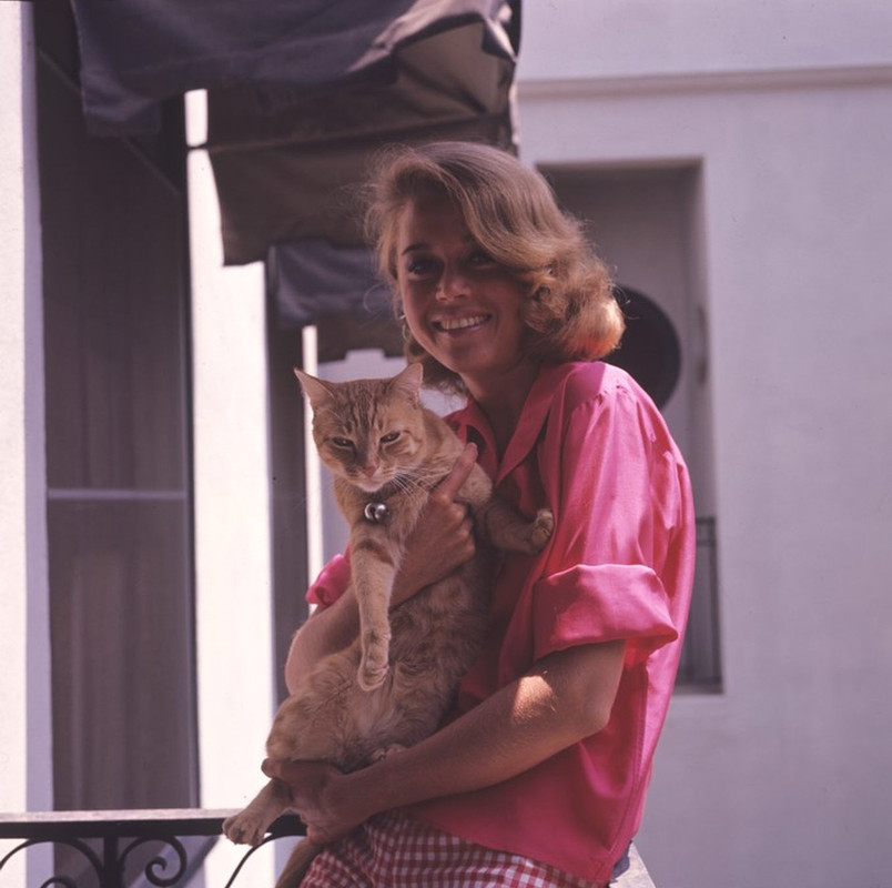 Jane_Fonda_mh02