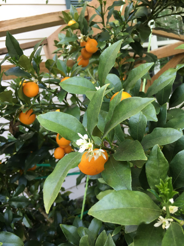 75E92DF8-8D1E-45FF-8637-973C8DEB3BA0