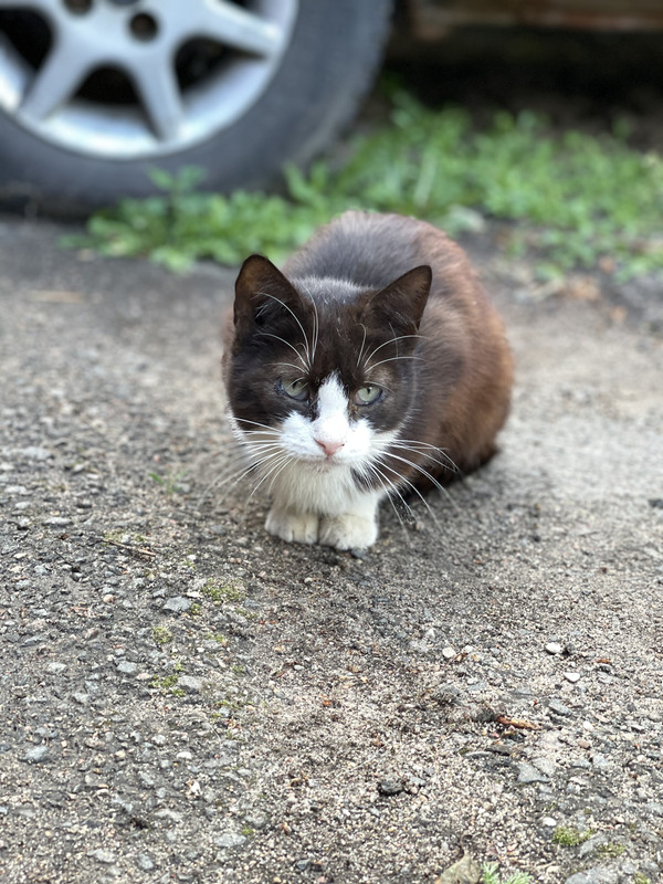 B566C97B-F79A-48B5-A2EF-560B584CB1BD