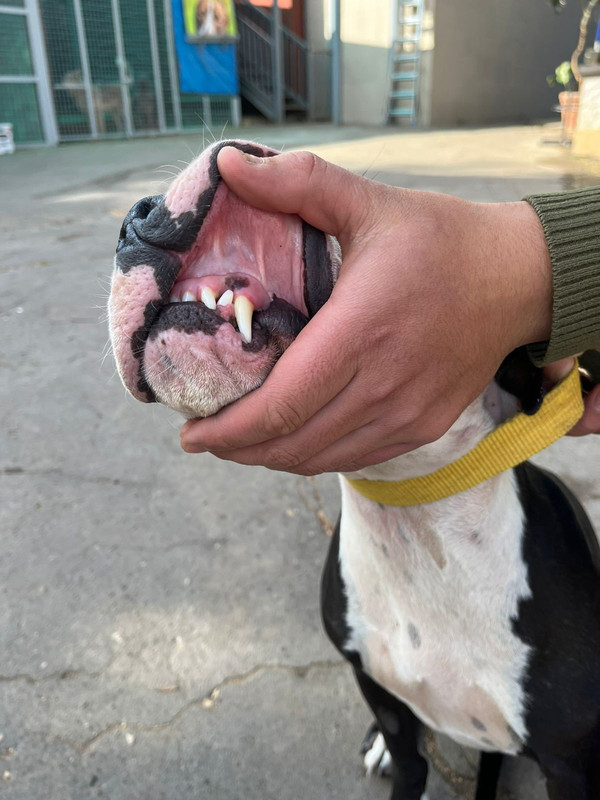 WhatsApp Image 2022-09-13 at 13.03.10 (1)