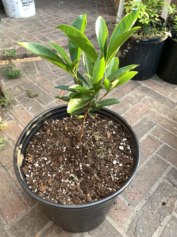 9DDD5750-835B-46B1-9088-35CAC8952350