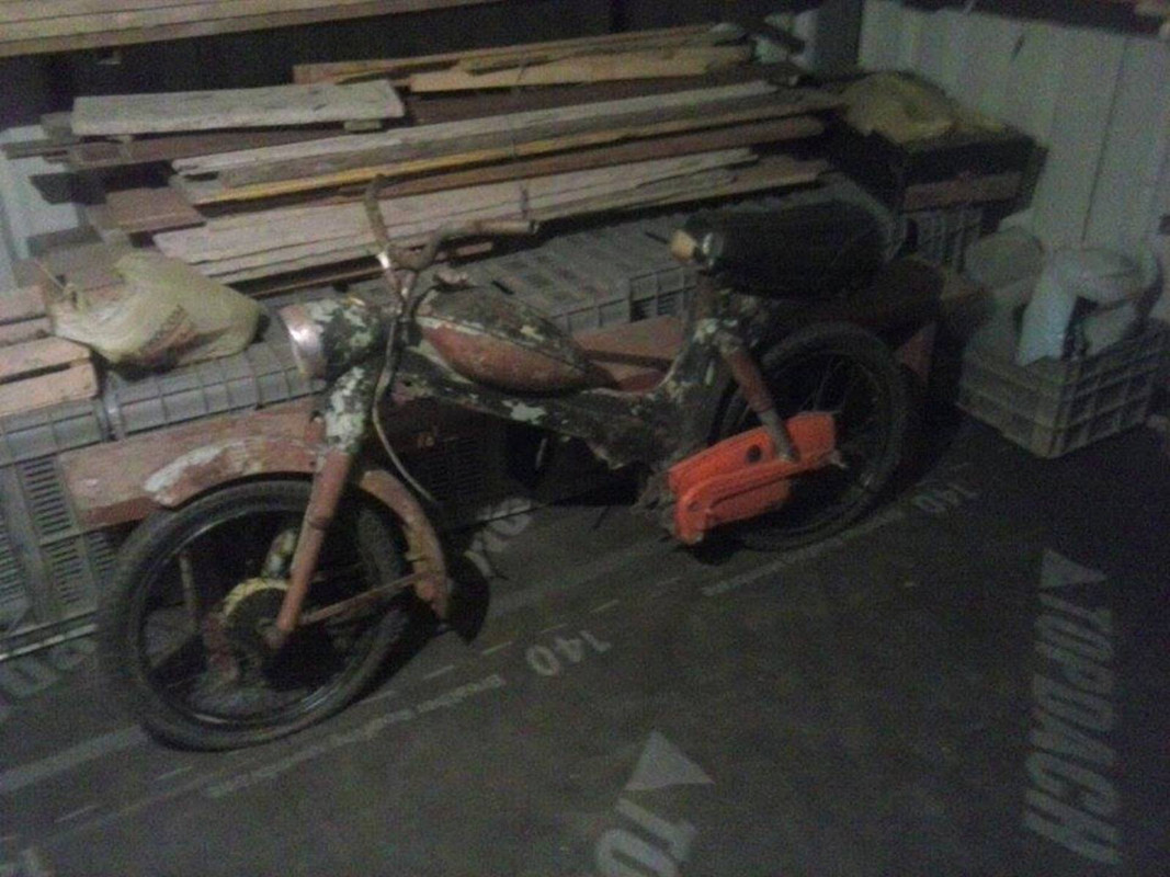 10439498_285789028267995_857517386737506540_n