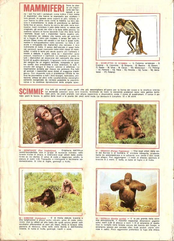 Animali-di-Tutto-il-Mondo-1965-Panini-10