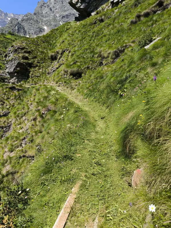 img_19_1721655156634