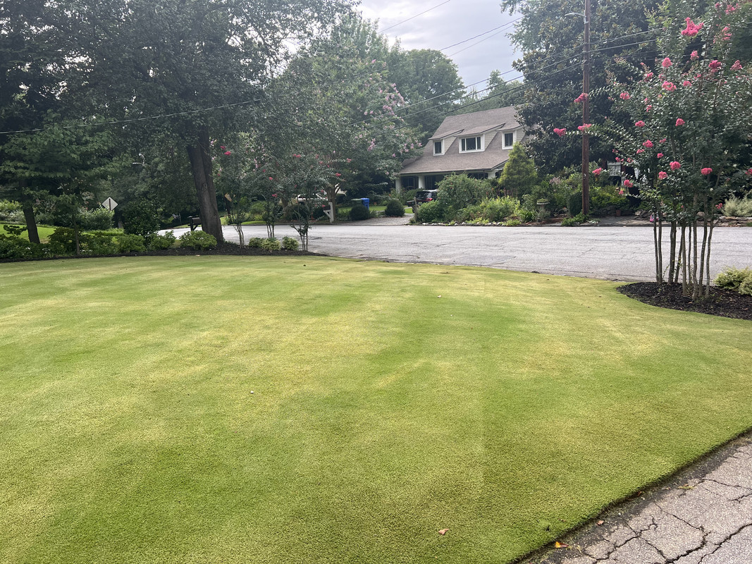 184A1DB0-4294-4803-BE08-3B2C1BA29F95