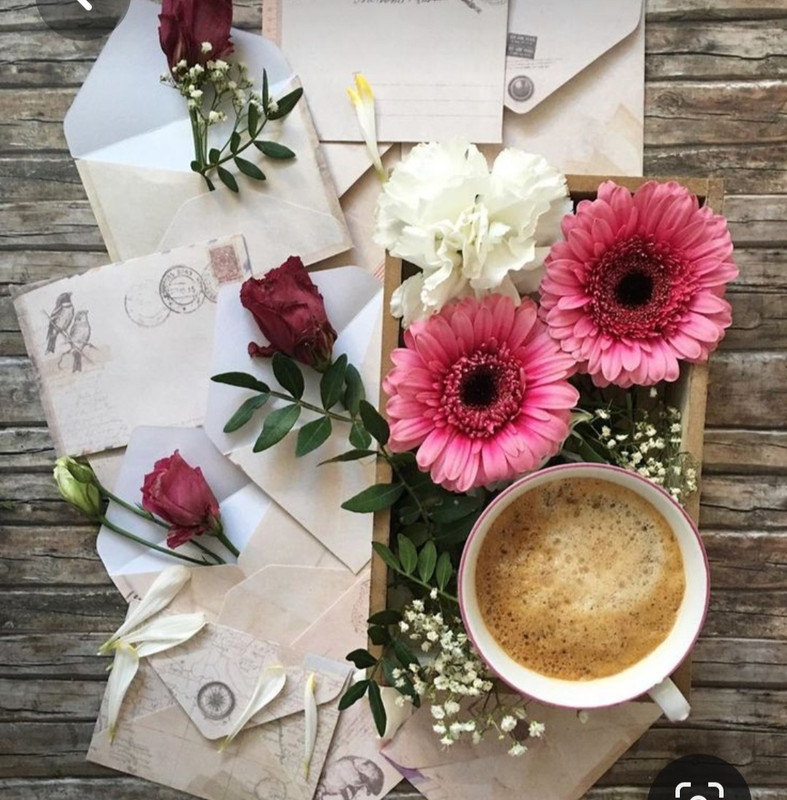 Screenshot_20230807_001608_Pinterest