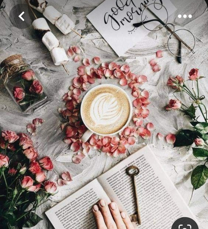 Screenshot_20230528_213111_Pinterest