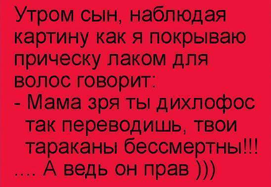 https://i.postimg.cc/fWXksbGP/3822-744563145678239-7910827598703595088-n.jpg