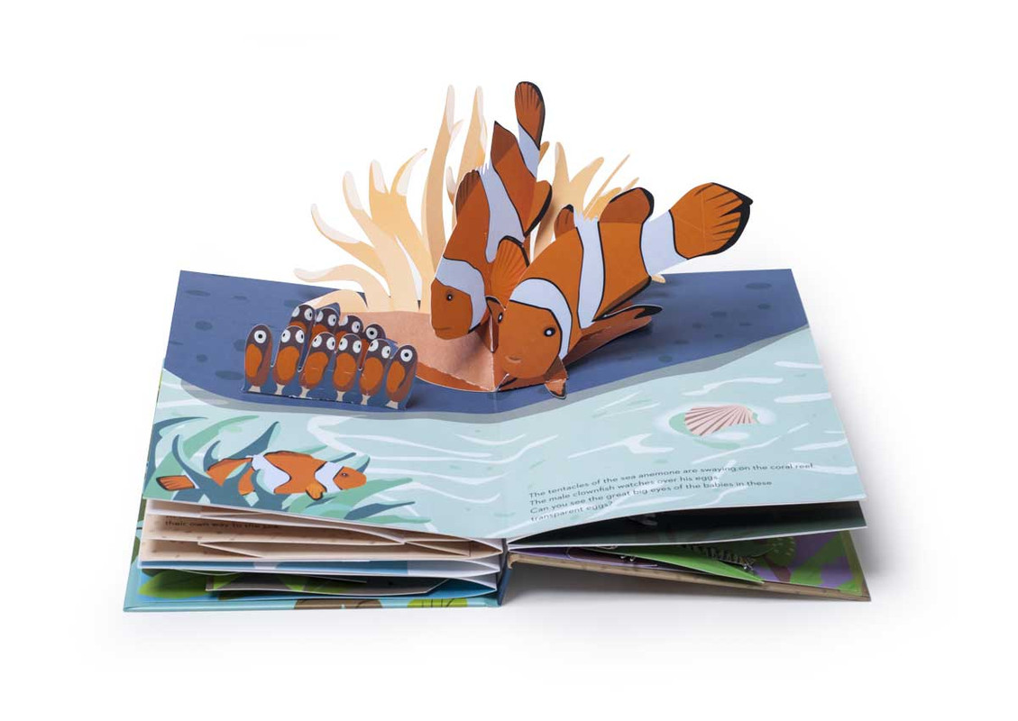 Egg-Book-Fish2019-Biederstaedt-1200x850.jpg