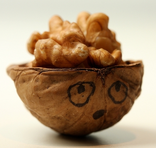 walnut-brain.jpg