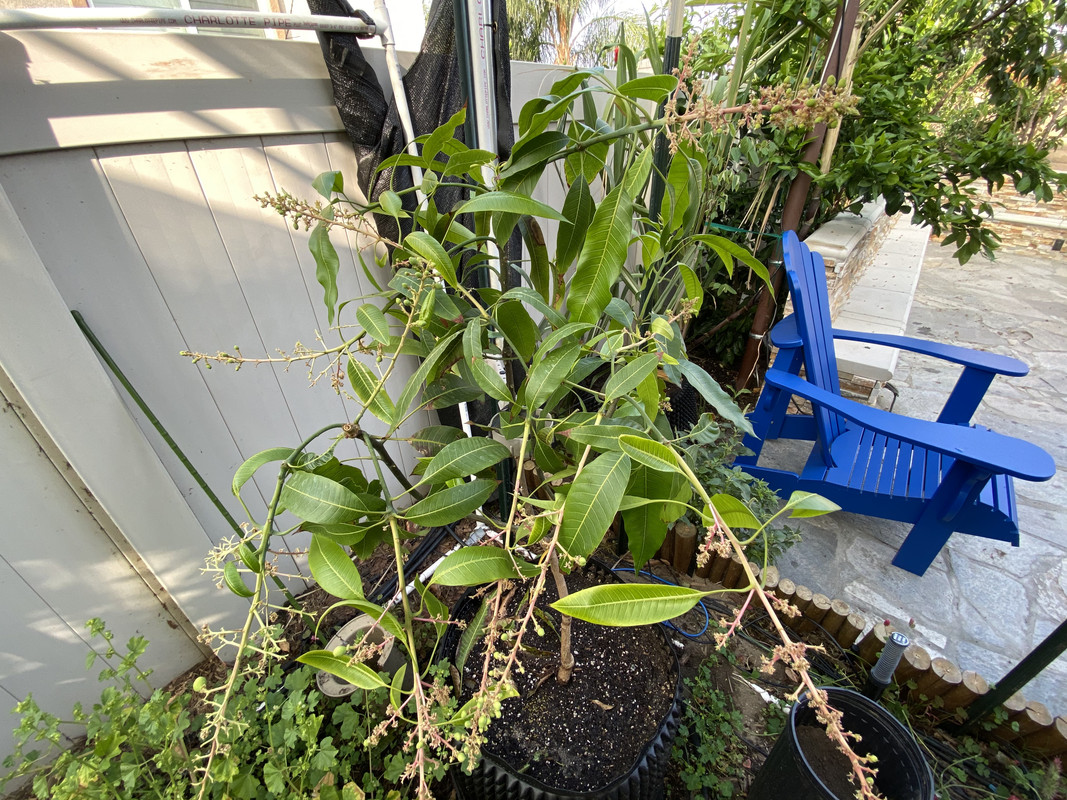 AADFD6C3-4167-41C1-8A37-E5376E606814