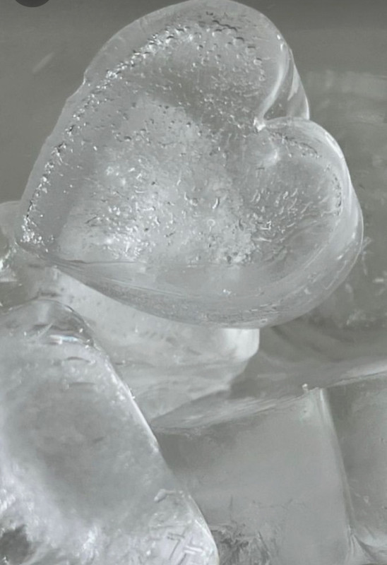 Screenshot_20240212_210710_Pinterest