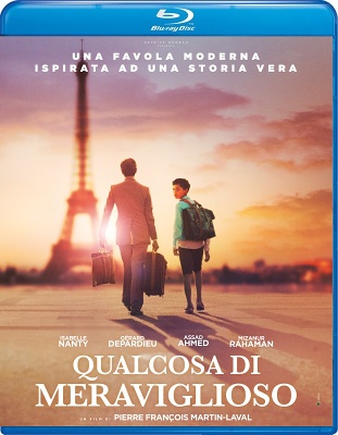 Qualcosa Di Meraviglioso (2019) .mkv BDRiP 1080p x264 - AC3/DTS iTA/FRE