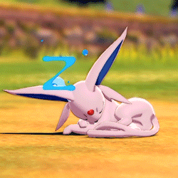 tumblr-5c170403d30c07b1fd35944bb525ab4c-