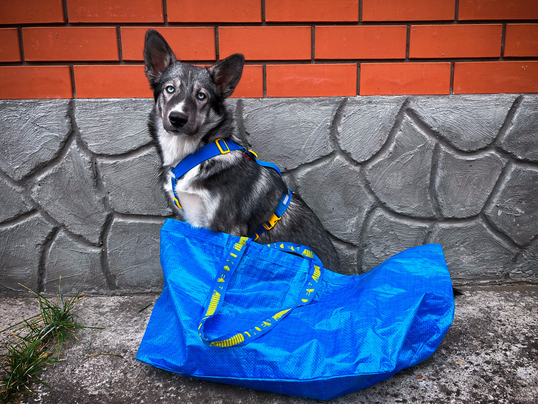 86E321C7-B55C-4AE9-98A6-40DB83BB71EE