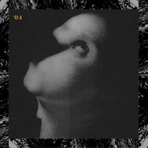Viscera, , , - 4. Assets For Psychedelic Warfare (2026) FLAC