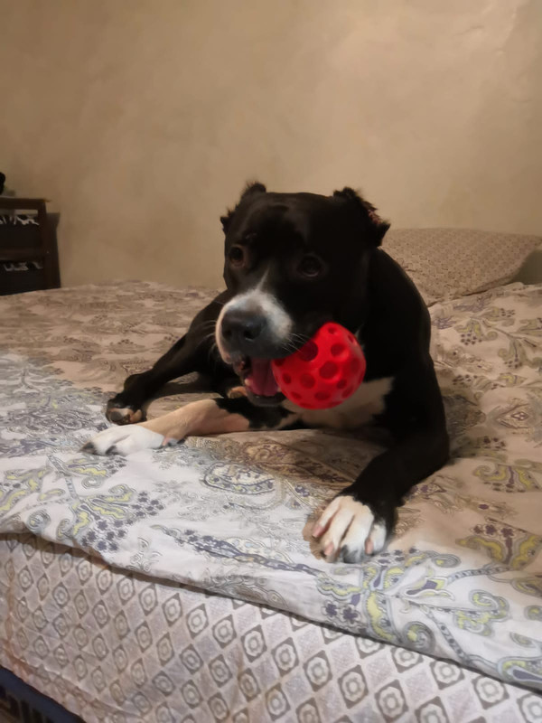 ECCE39DF-5143-4151-84F6-DAA4006AB484