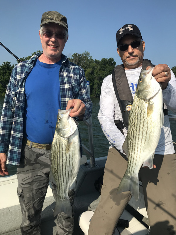 434C5642-4CE3-4BE6-8BA4-8B940D3DFA74