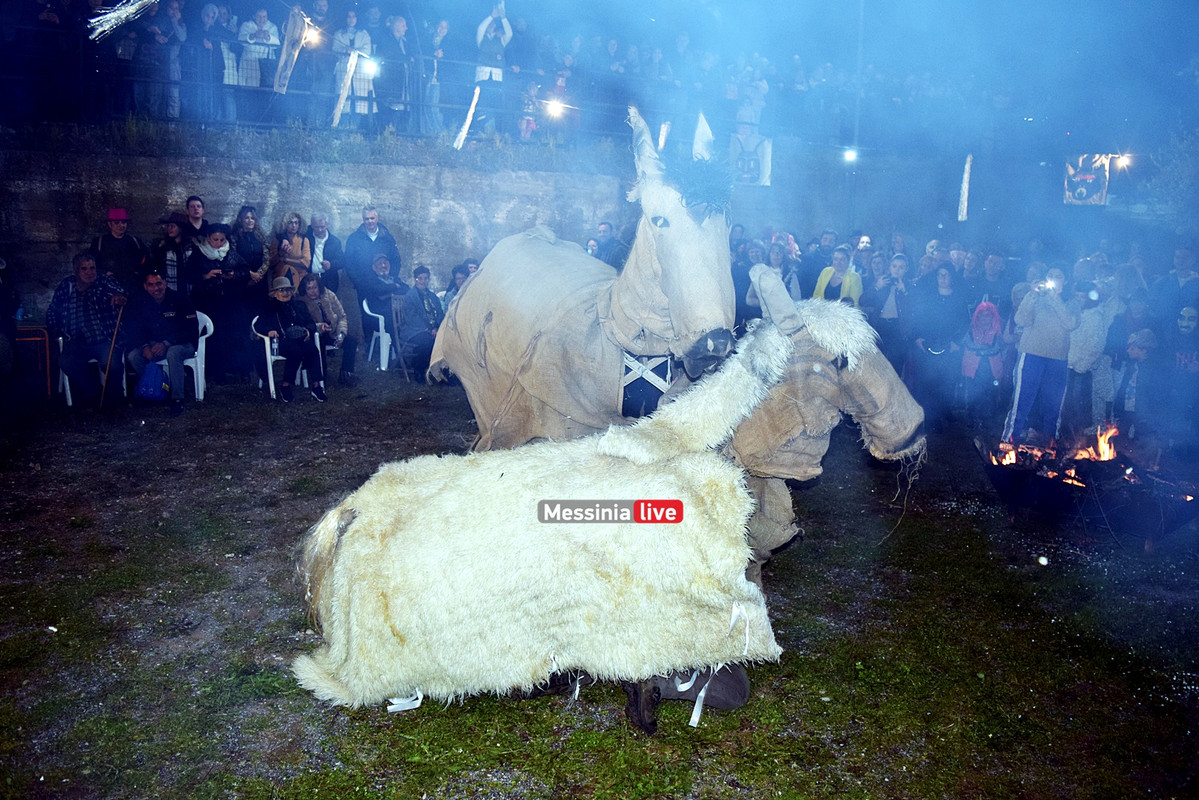 ελαιοχωριDSC_0669