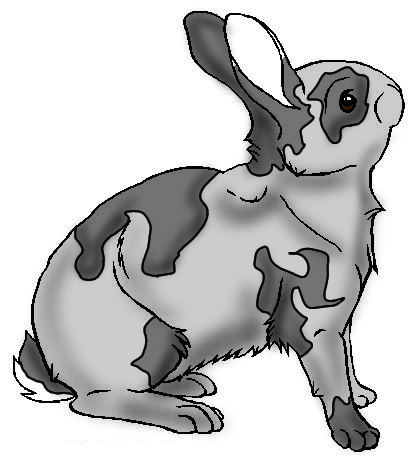 Untitled5-20250906215505.png