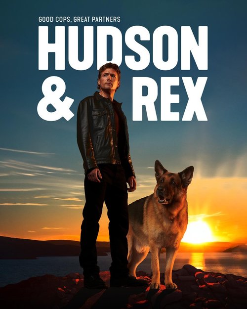 Hudson & Rex (2025) [Sezon 6] PL.1080p.AMZN.WEB-DL.DD2.0.H264-Ralf / Lektor PL
