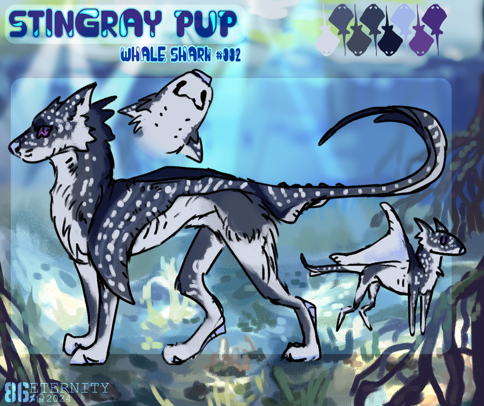 My-Stingray-pup-copy.png