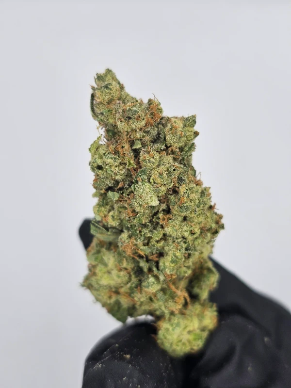 kush delivery near me