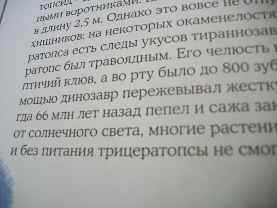100_7741