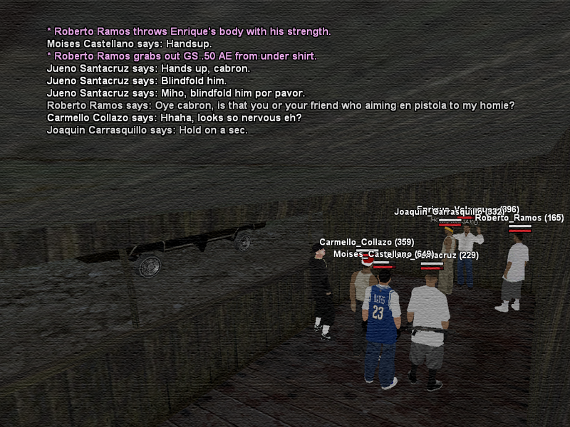 SSRoleplay186.png