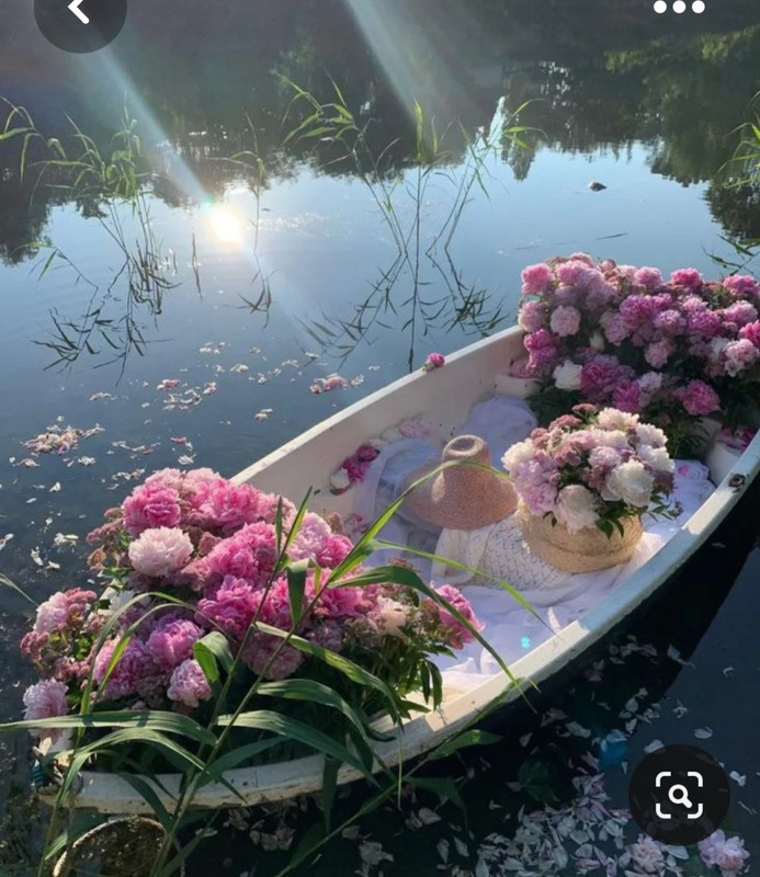 Screenshot_20230616_181113_Pinterest