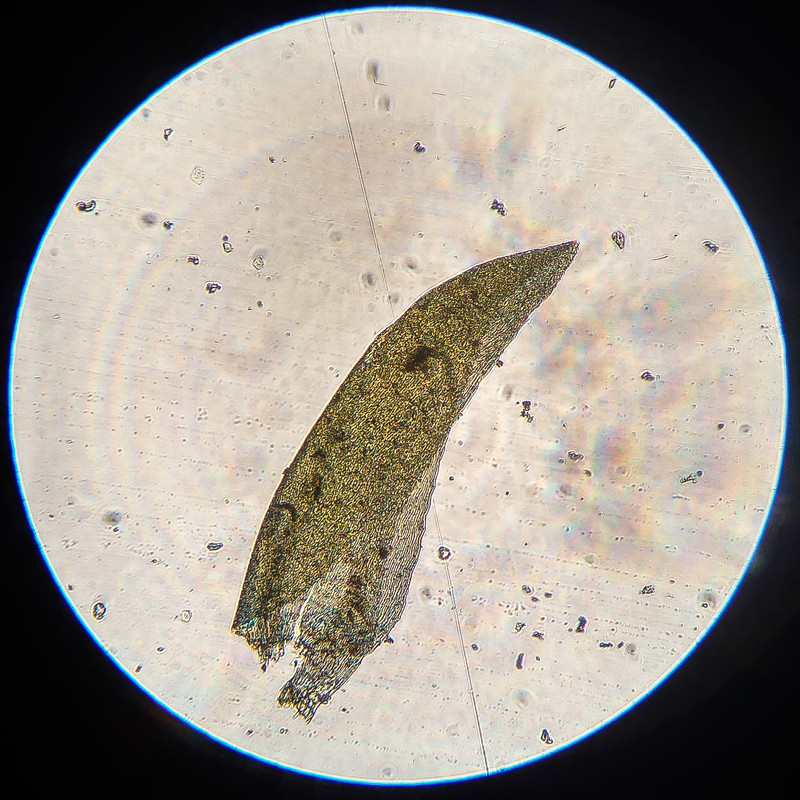 IMG 20250616 215748 HDR