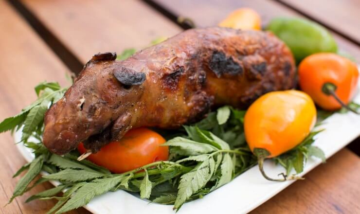 Блюда из мяса морской свинки Блюда из мяса морской свинки