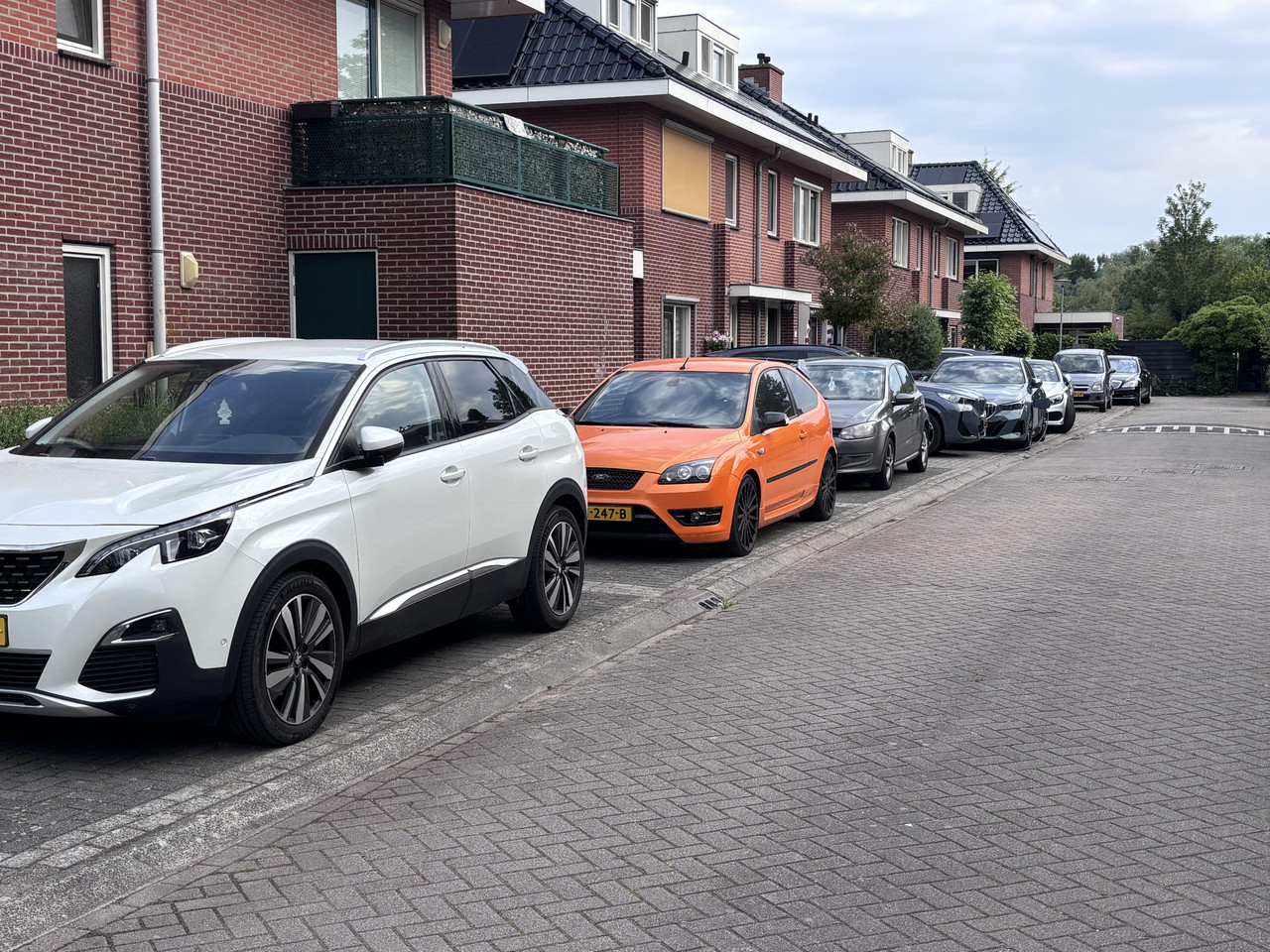 20260531-oranje-focus.jpg