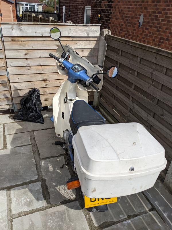 PXL_20210329_105401345(1)