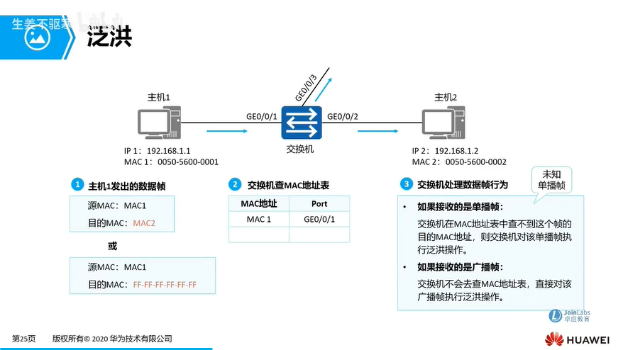 f19_泛洪.png