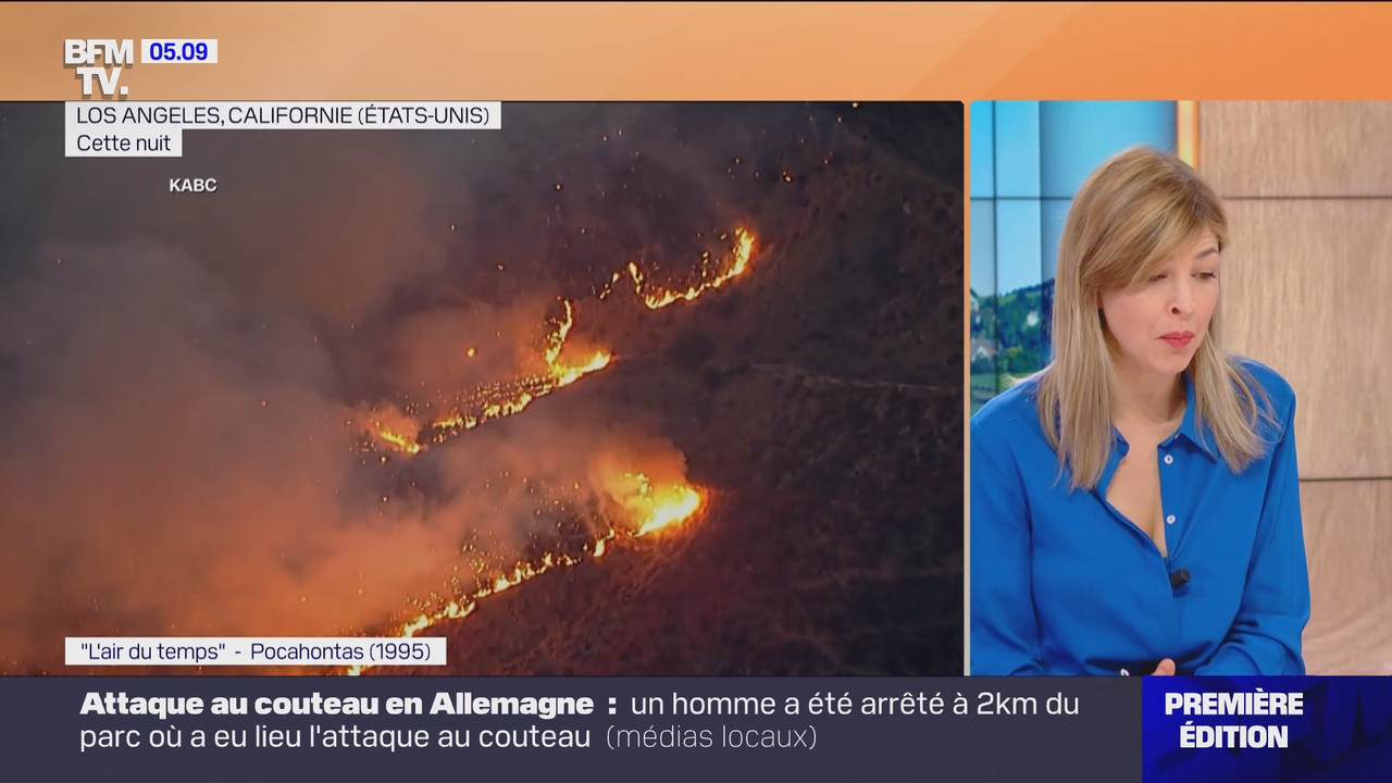 Première édition (BFMTV)_2025_01_23_03_25_37.ts_snapshot_00.45.25.419