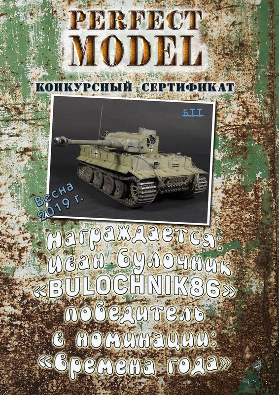 Весенний диплом бтт 2019 3