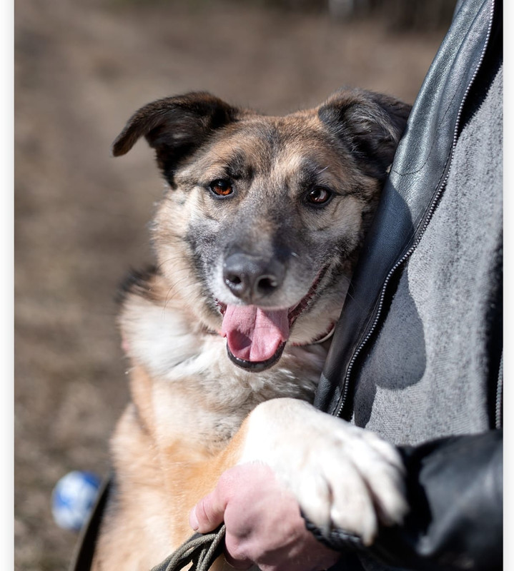 Изображение WhatsApp 2025-04-16 в 11.40.09_d627a434