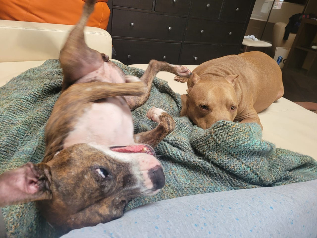 C105680E-C866-4404-8CDF-9AEF3A00984C