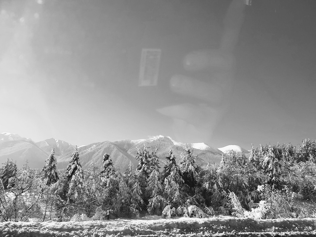 20190127_113910-EFFECTS