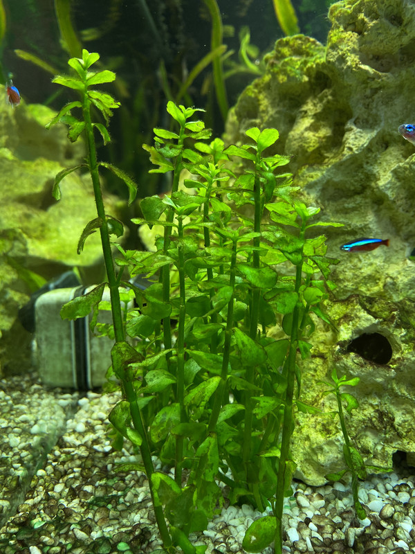 32BE694E-8C07-4FE1-A0C1-6A5DC1A7717E