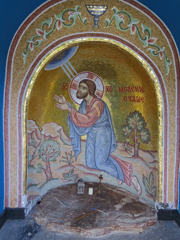 https://i.postimg.cc/fWdhzFdT/66-IMG-0373.jpg