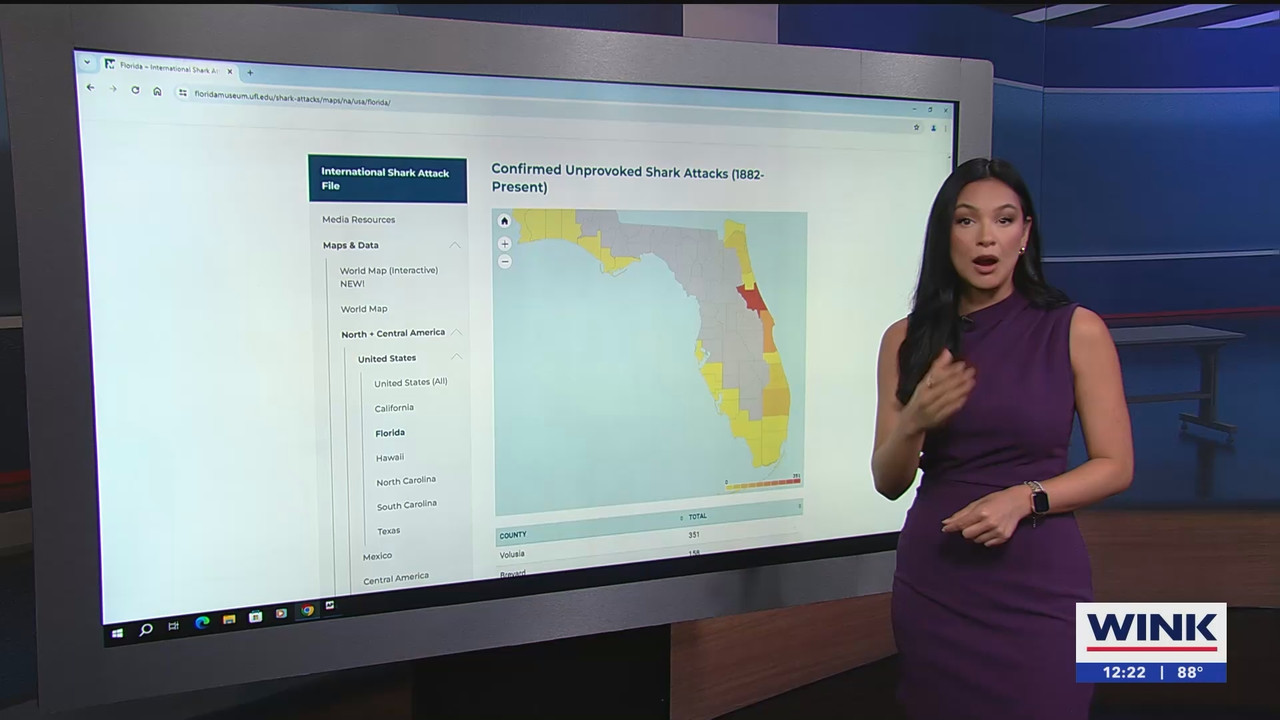 06.10 - 17.00.00 - The WINK Noon News  ᴺᵉʷ. Midday news update..ts_snapshot_28.32.620