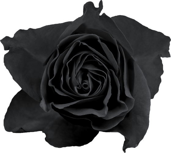 Autumn Witchery (94)